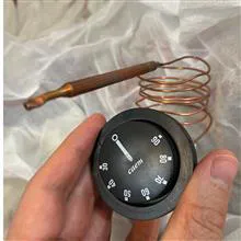 ترموستات