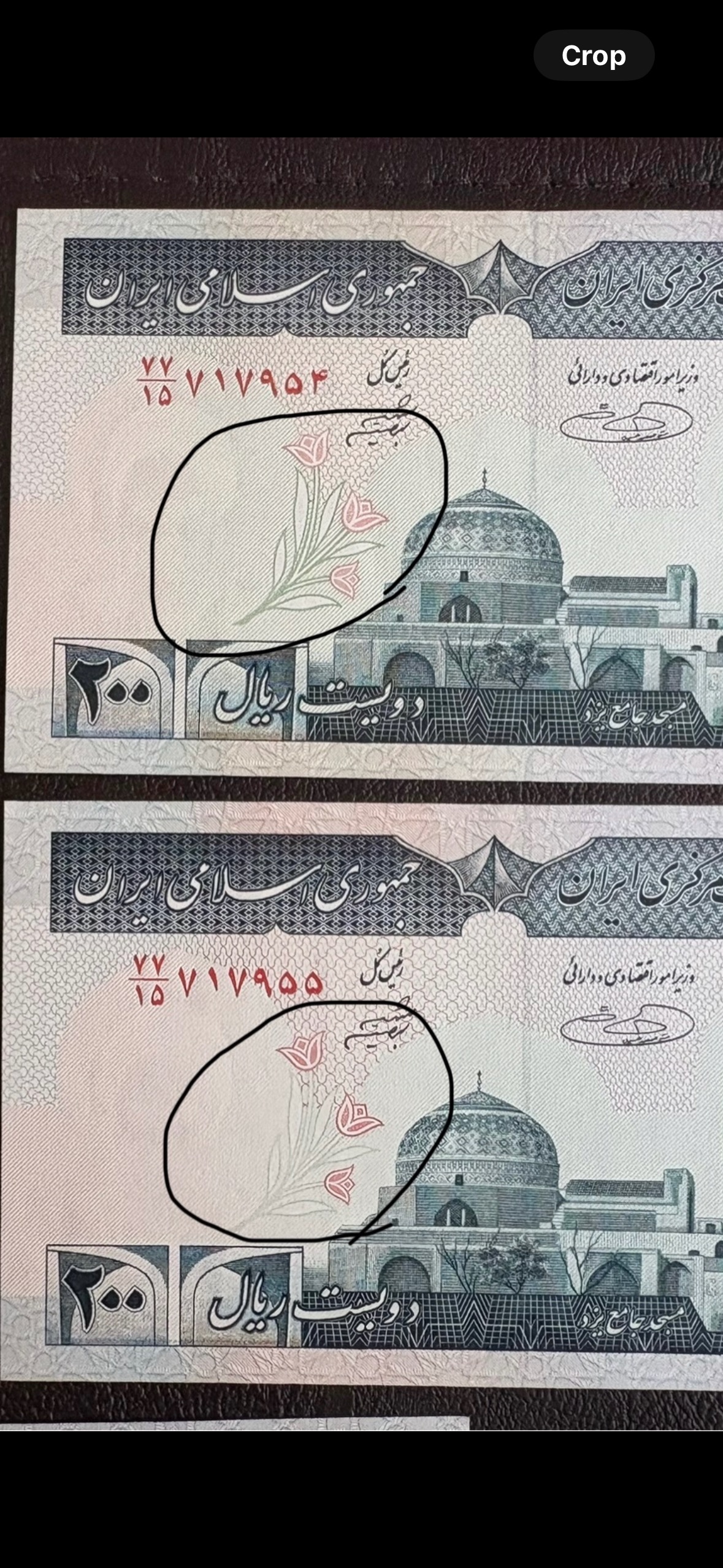 جفت 20 جهاد ارور واضح گل رو