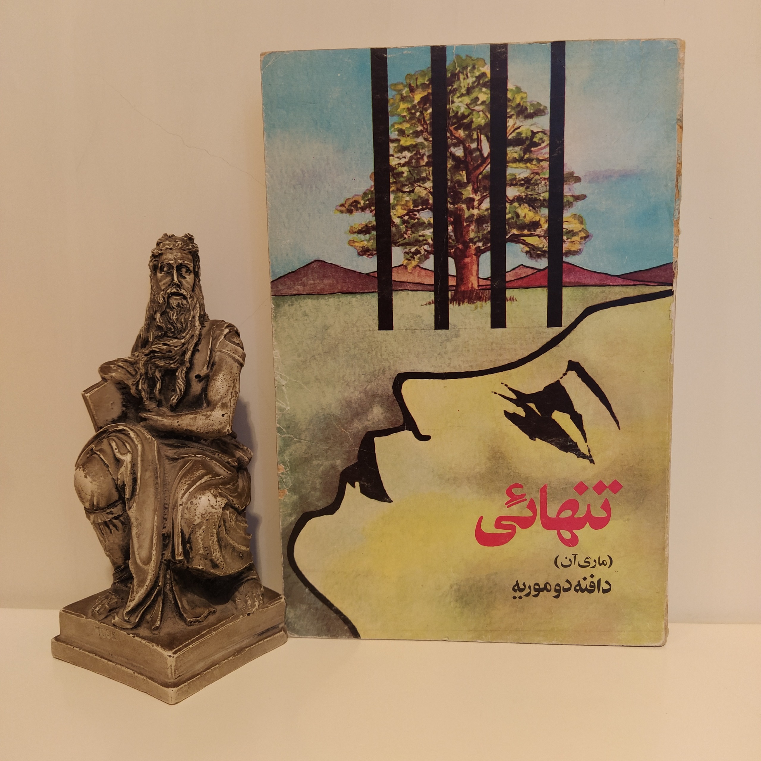 کتاب تنهایی (ماری آن) دافنه دوموری فرخ پی