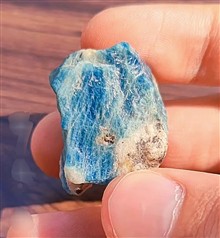 افغانیت