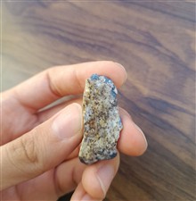 افغانیت