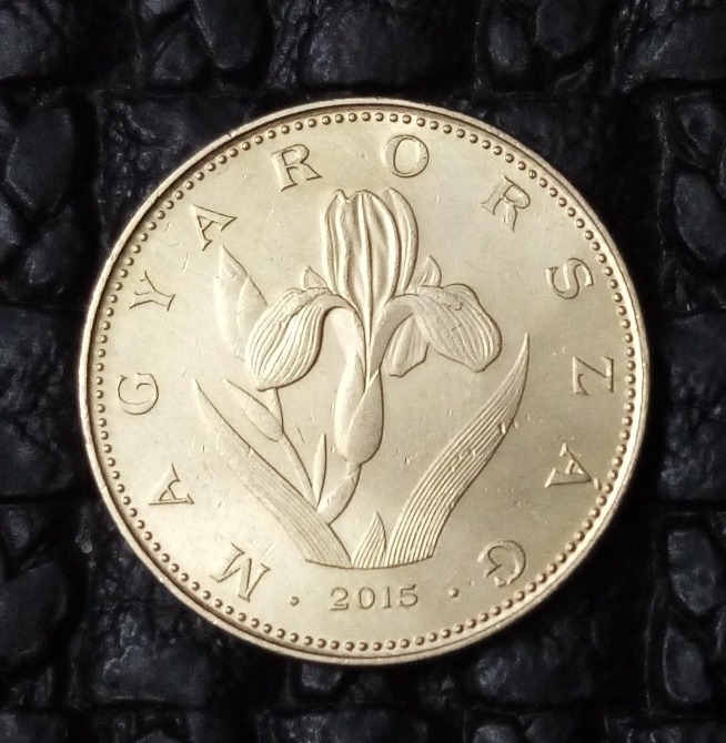 سکه زیبا و کمیاب 20 فورینت مجارستان