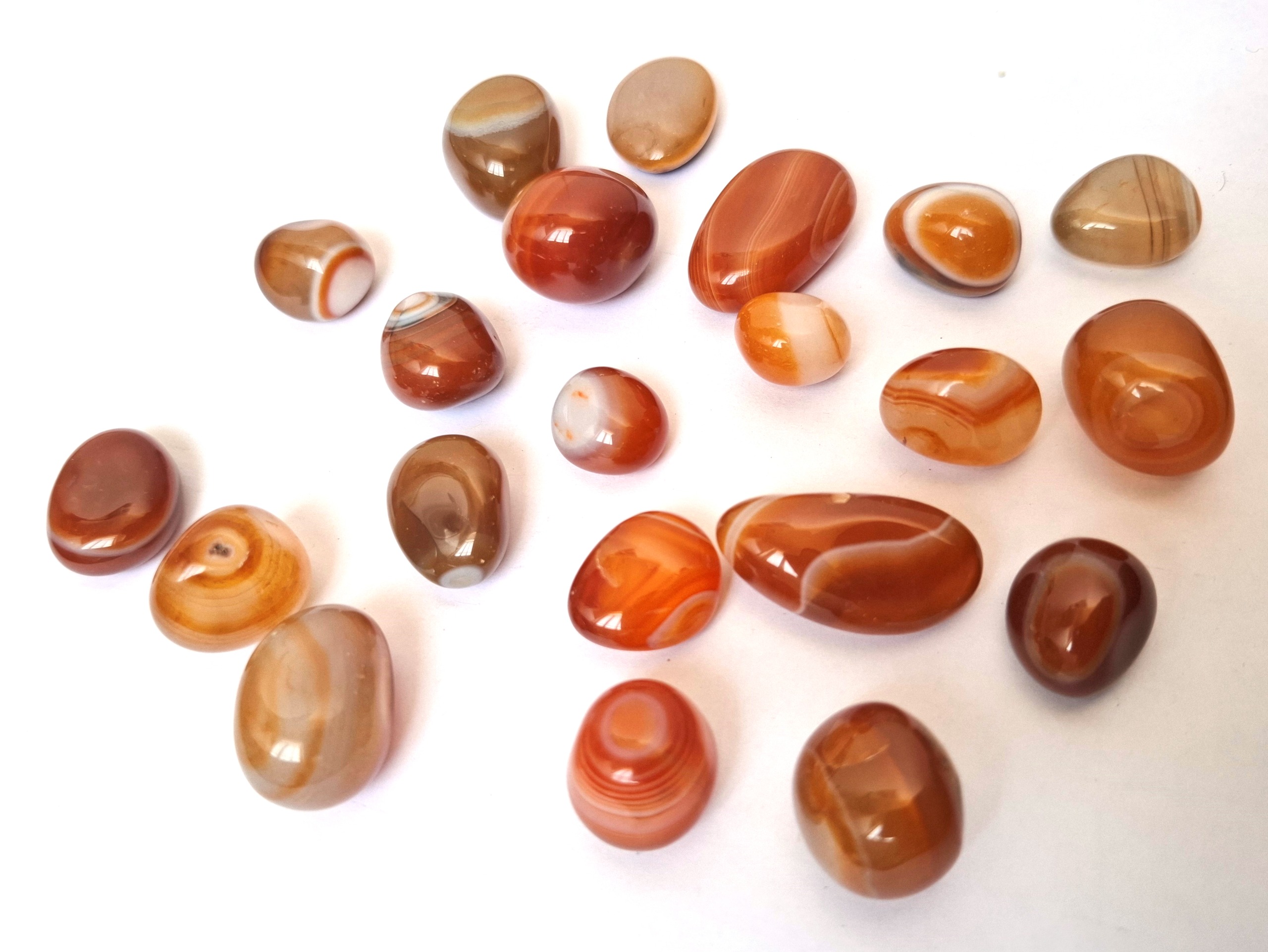 110 گرم ساردونیکس تامبل شده اصل