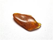 راف