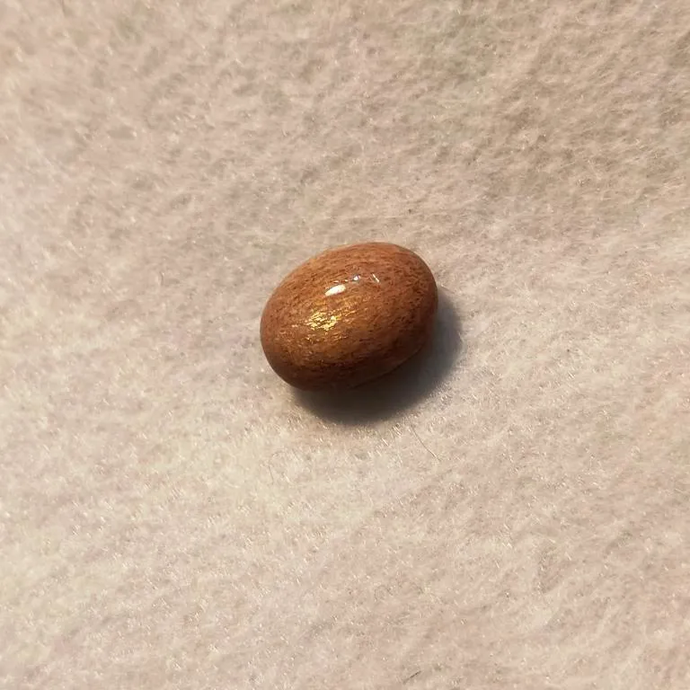 سان استون طلایی چشم گربه و استار کاملا طبیعی