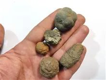 مجموعۀ