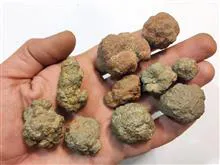 مجموعۀ