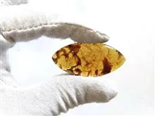 نگین