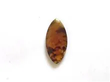 نگین
