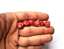 پنج