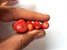چهار