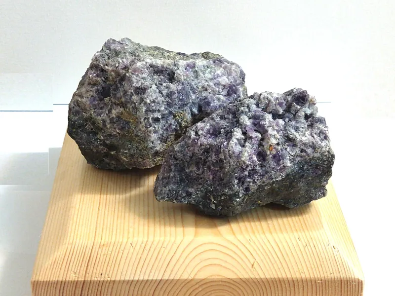 جفت کلوخه فلورین بنفش رورشدی