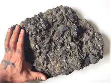 ژئود