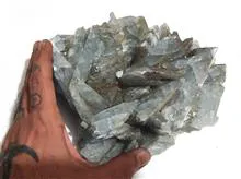 ژئود