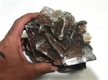 ژئود