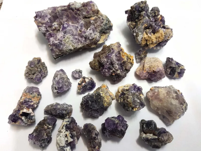 کلوخه های فلورین پررنگ منظم