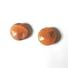جفت
