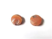 جفت