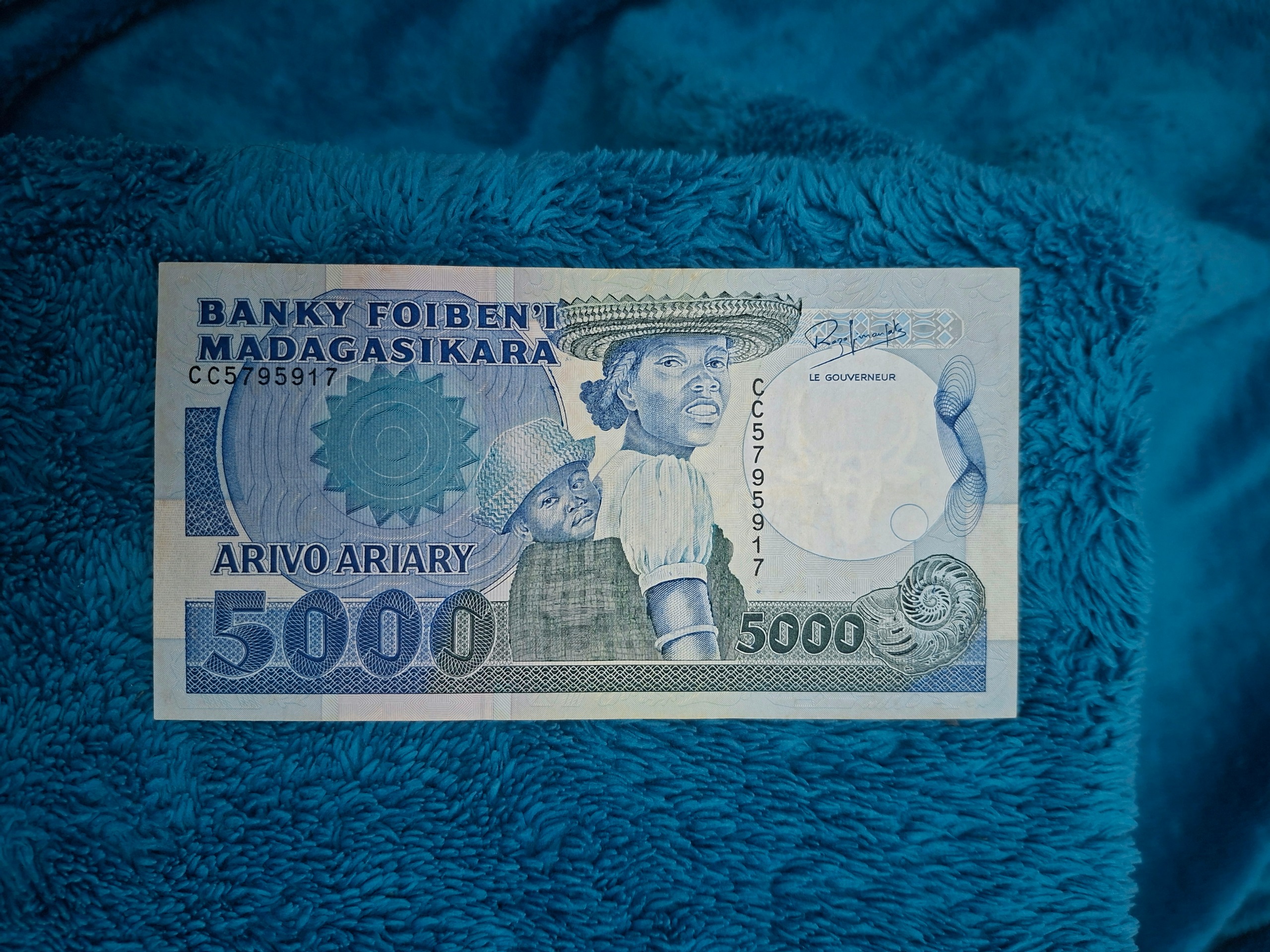 اسکناس 5000 آریاری ماداگاسکار 1994 تابلویی