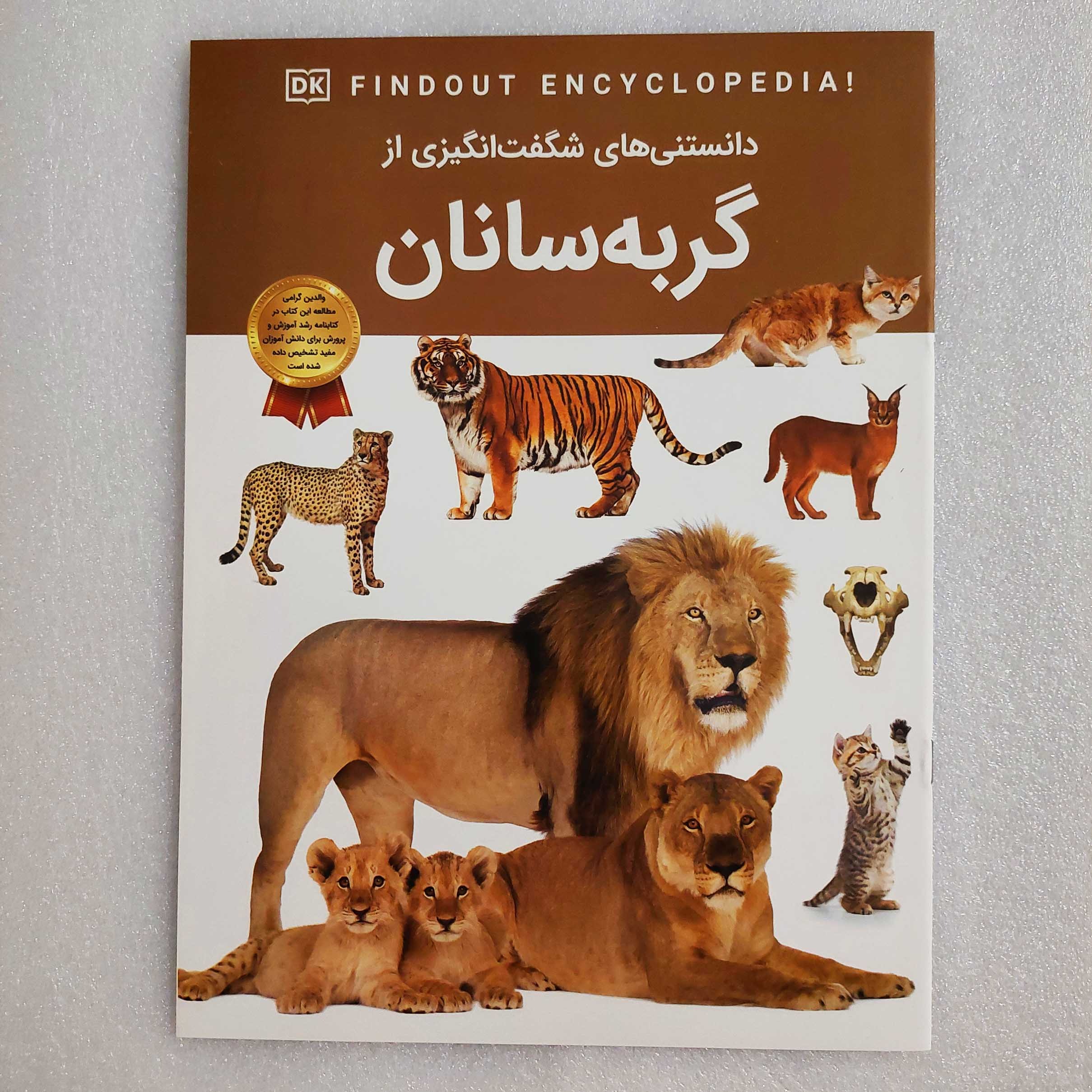 دانستنی های شگفت انگیزی از گربه سانان (گلاسه)
