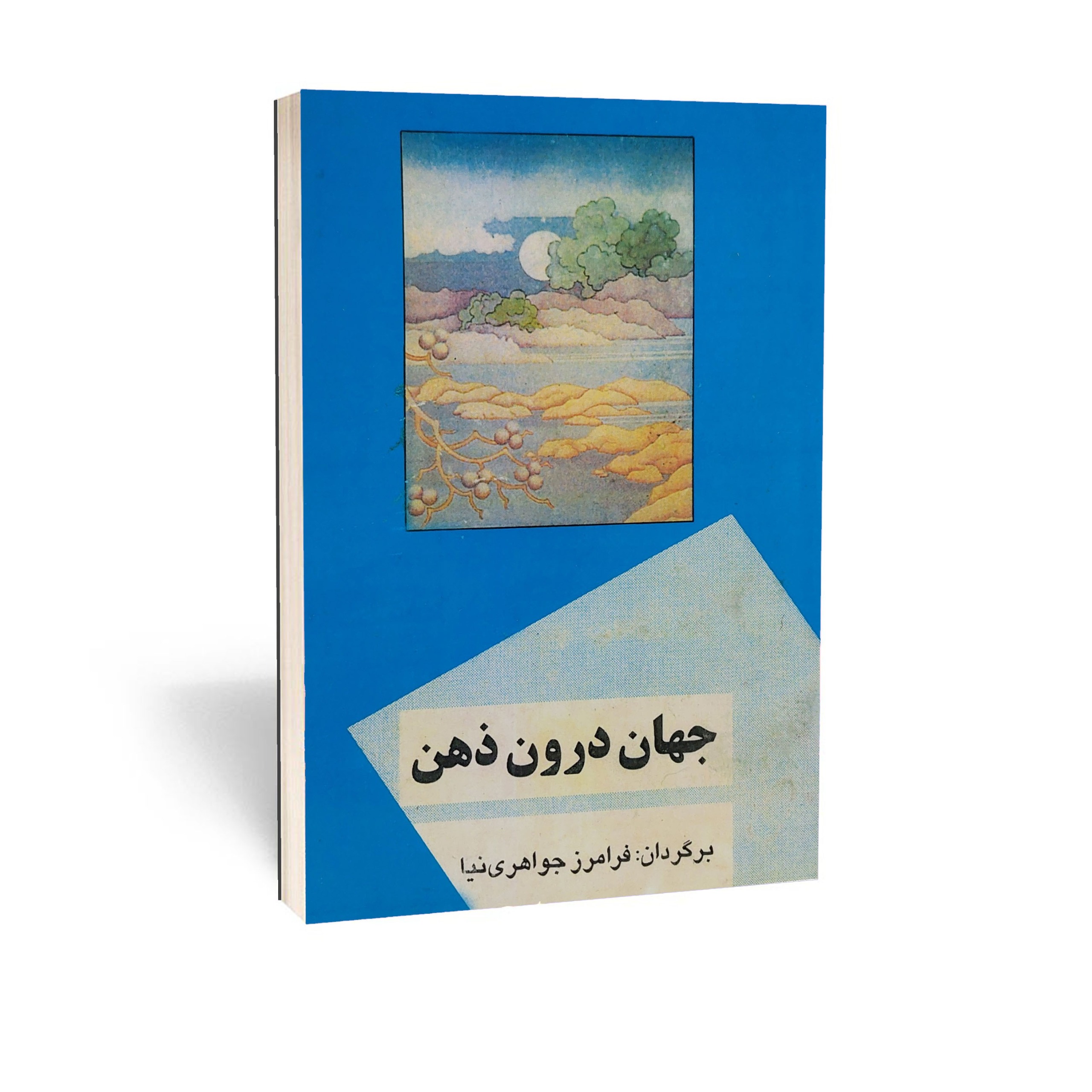 کتاب جهان درون ذهن ترجمه فرامرز جواهری نیا