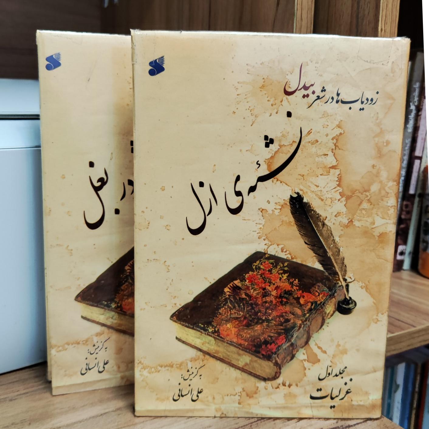 شیشه در بغل ـ زودیاب ها در شعر بیدل ـ دوجلدی