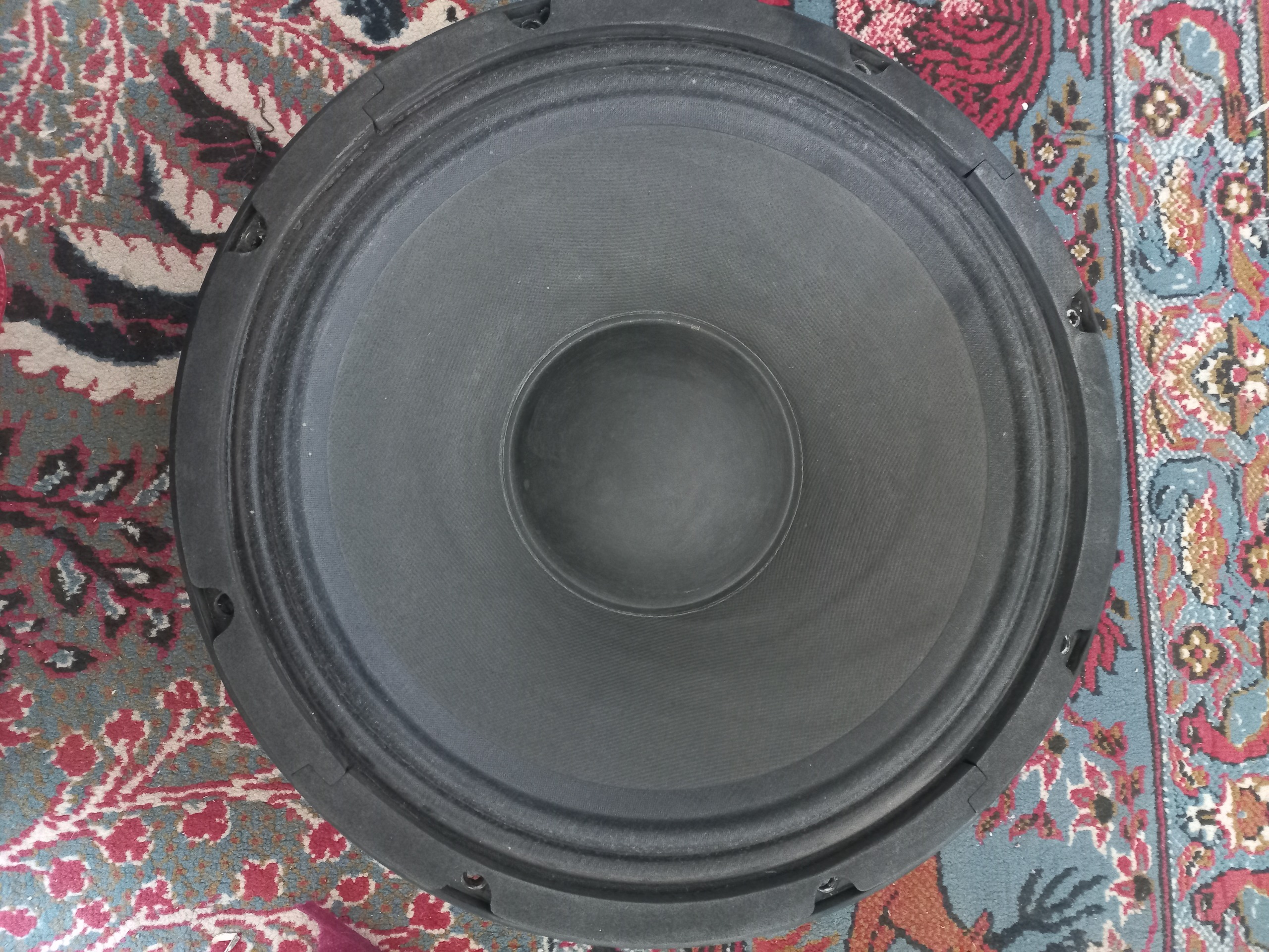 بلندگوو  ووفر 250w 8ohm  سایز 15 اینچ