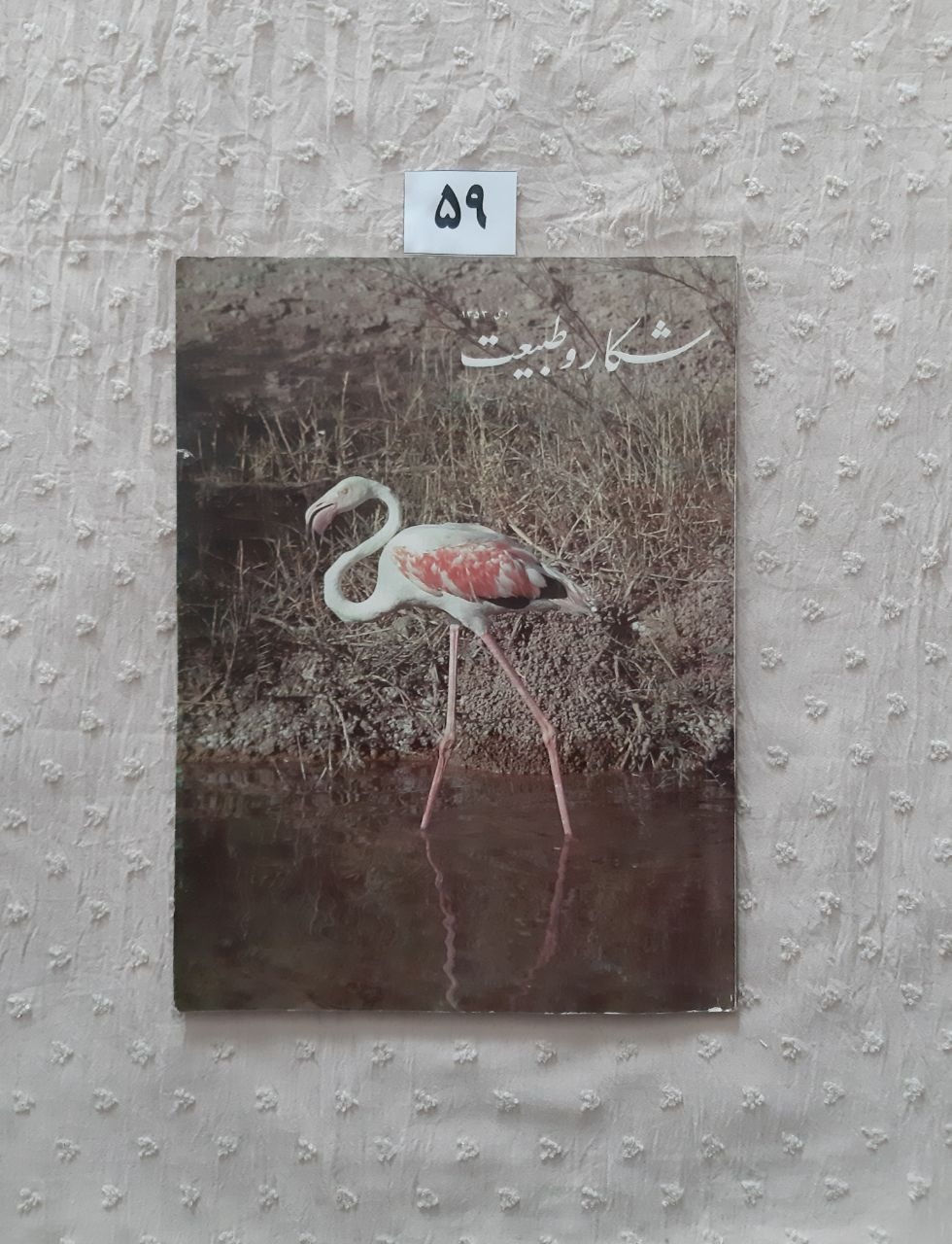 مجله شکار و طبیعت، دی 1353