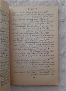 فلسفه