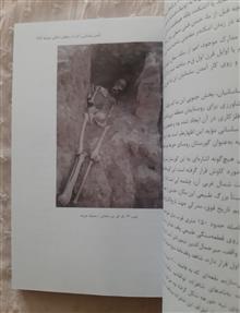 عدل