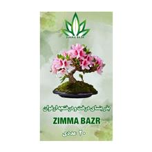 بذر