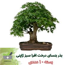 بذر
