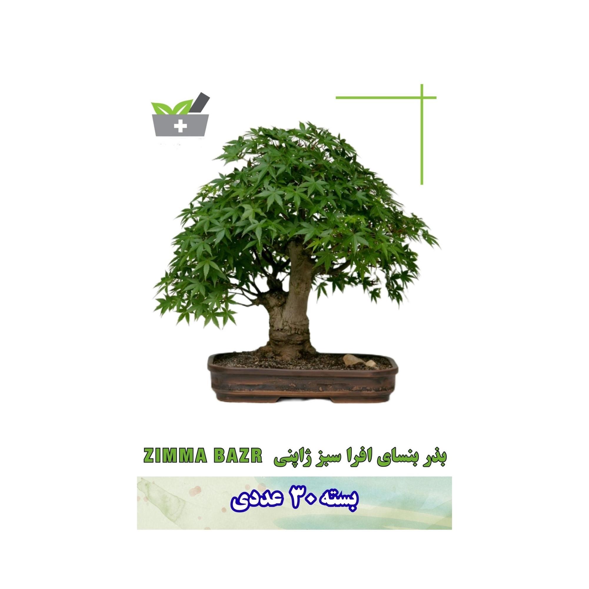 بذر بنسای افرا سبز ژاپنی بسته 20عددی