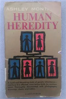 Human