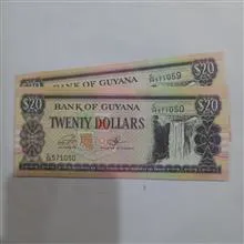 20