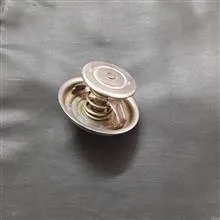 ترموستات