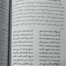 شاهدبازی