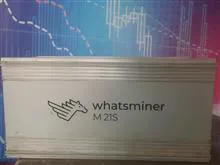 پوسته