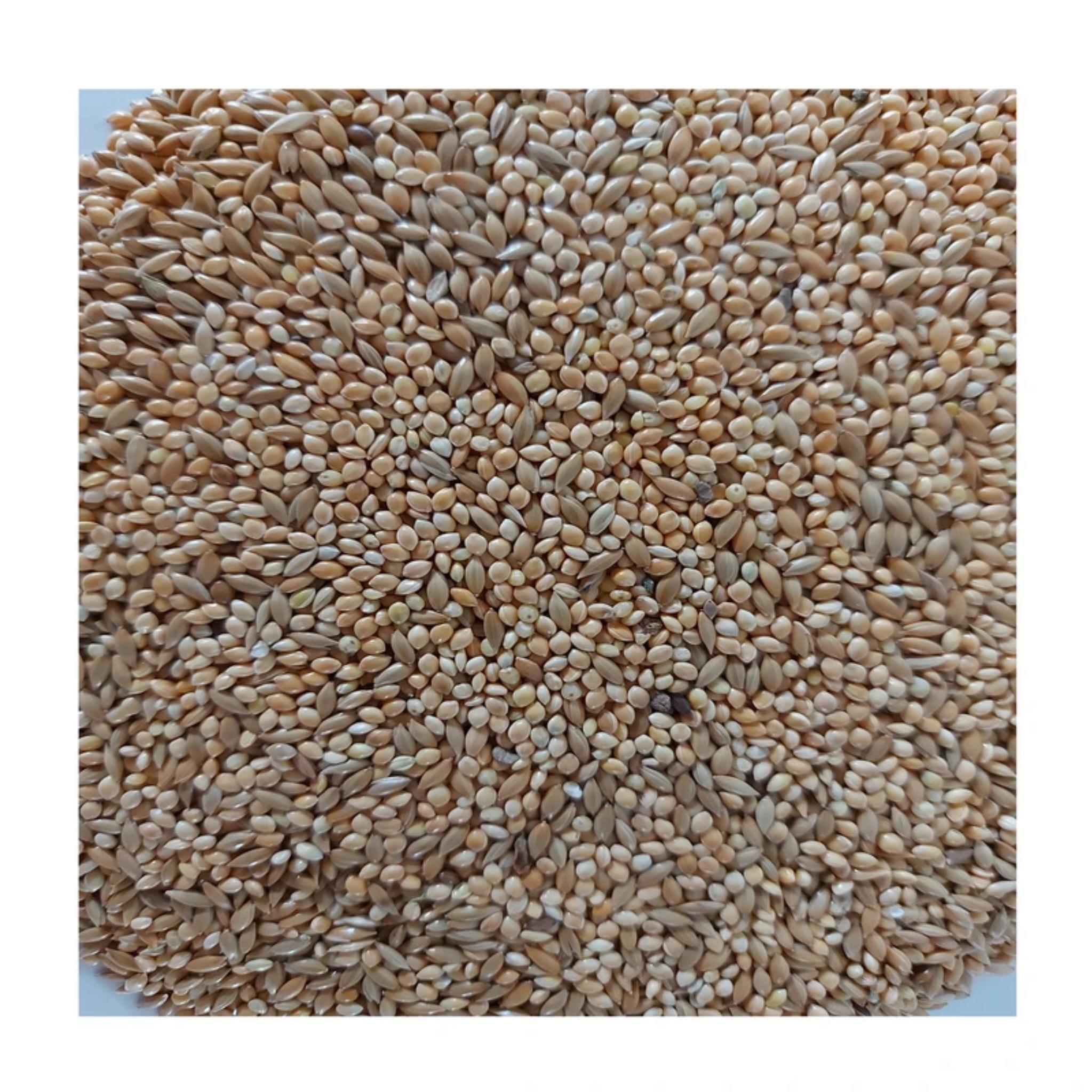 غذای پرندگان مدل مخلوط ارزن و کتا وزن 1000 گرم