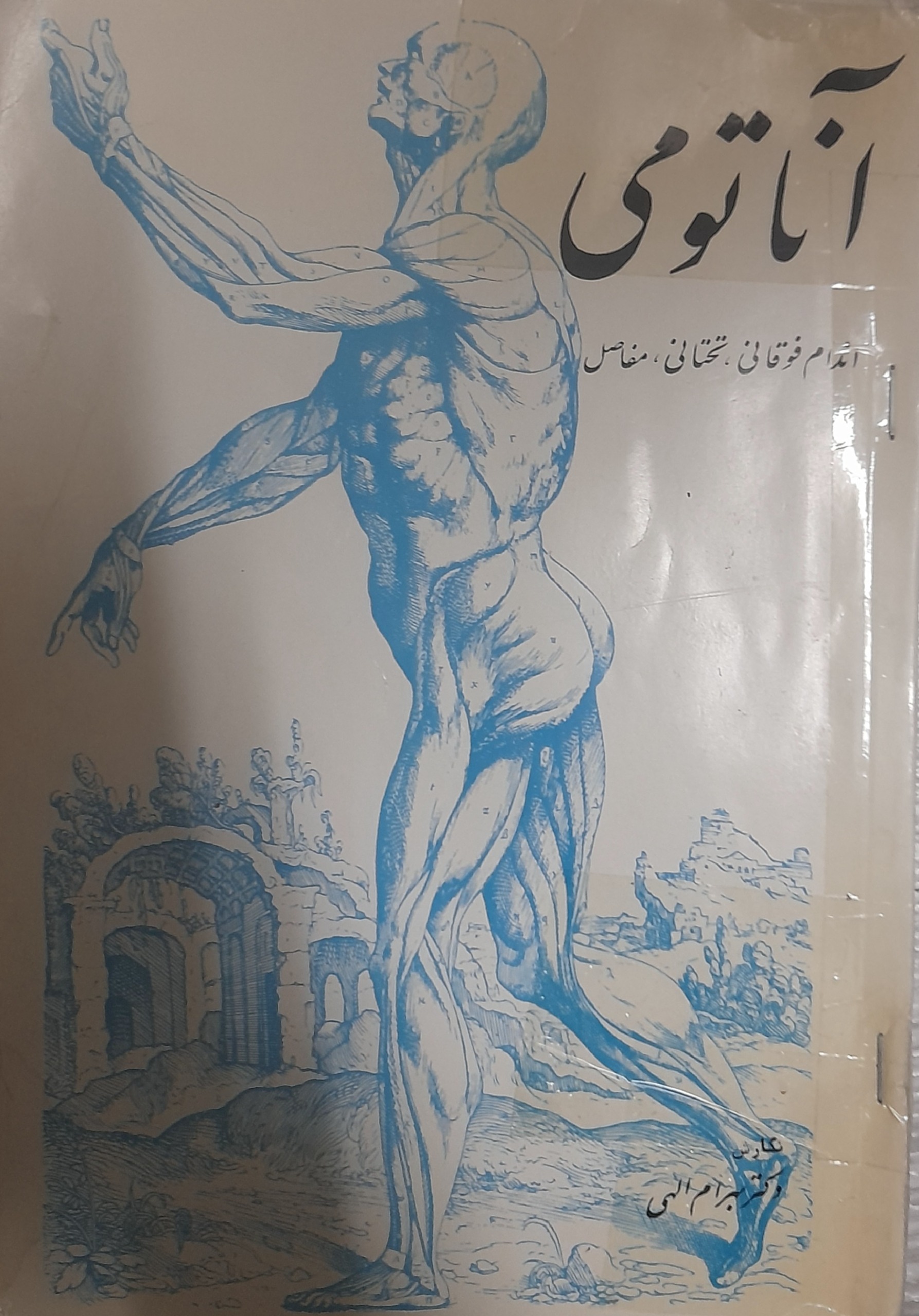 کتاب آناتومی انسان