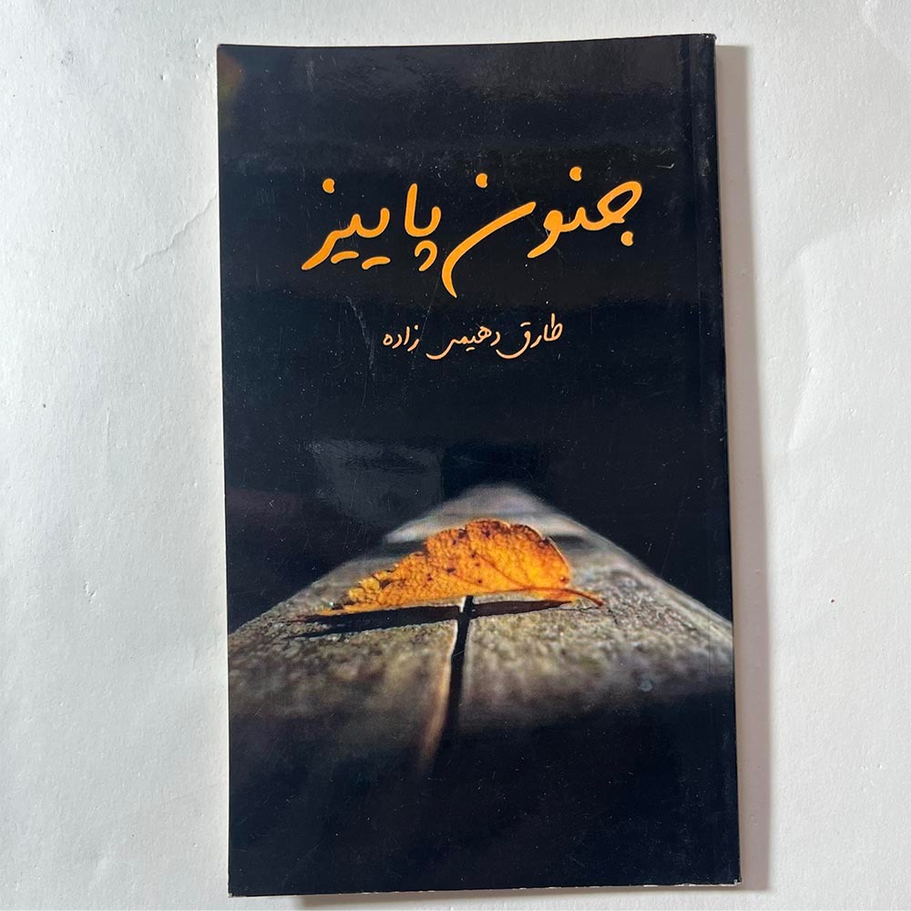 کتاب جنون پاییز اثر طارق دهیمی زاده