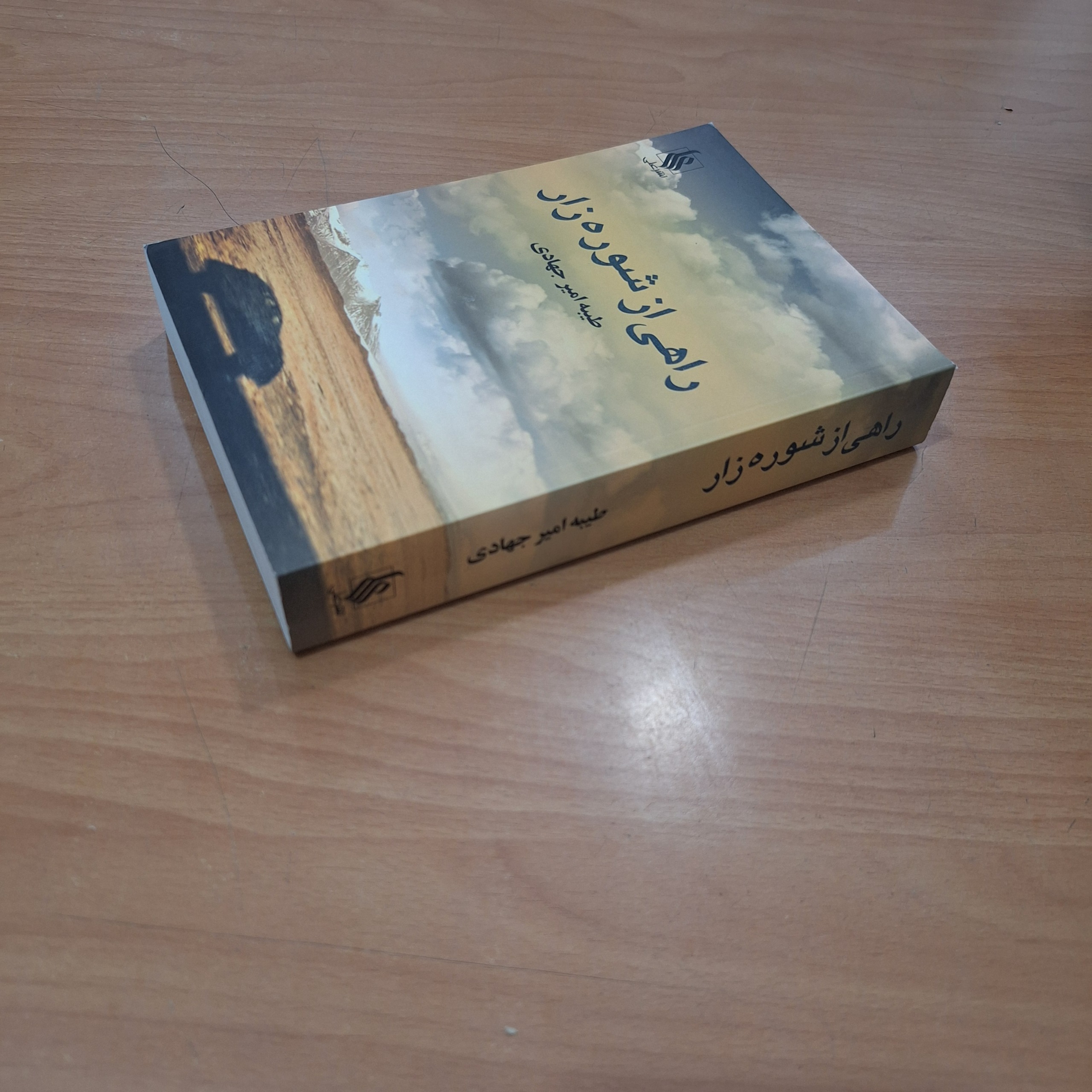 راهی از شوره زار