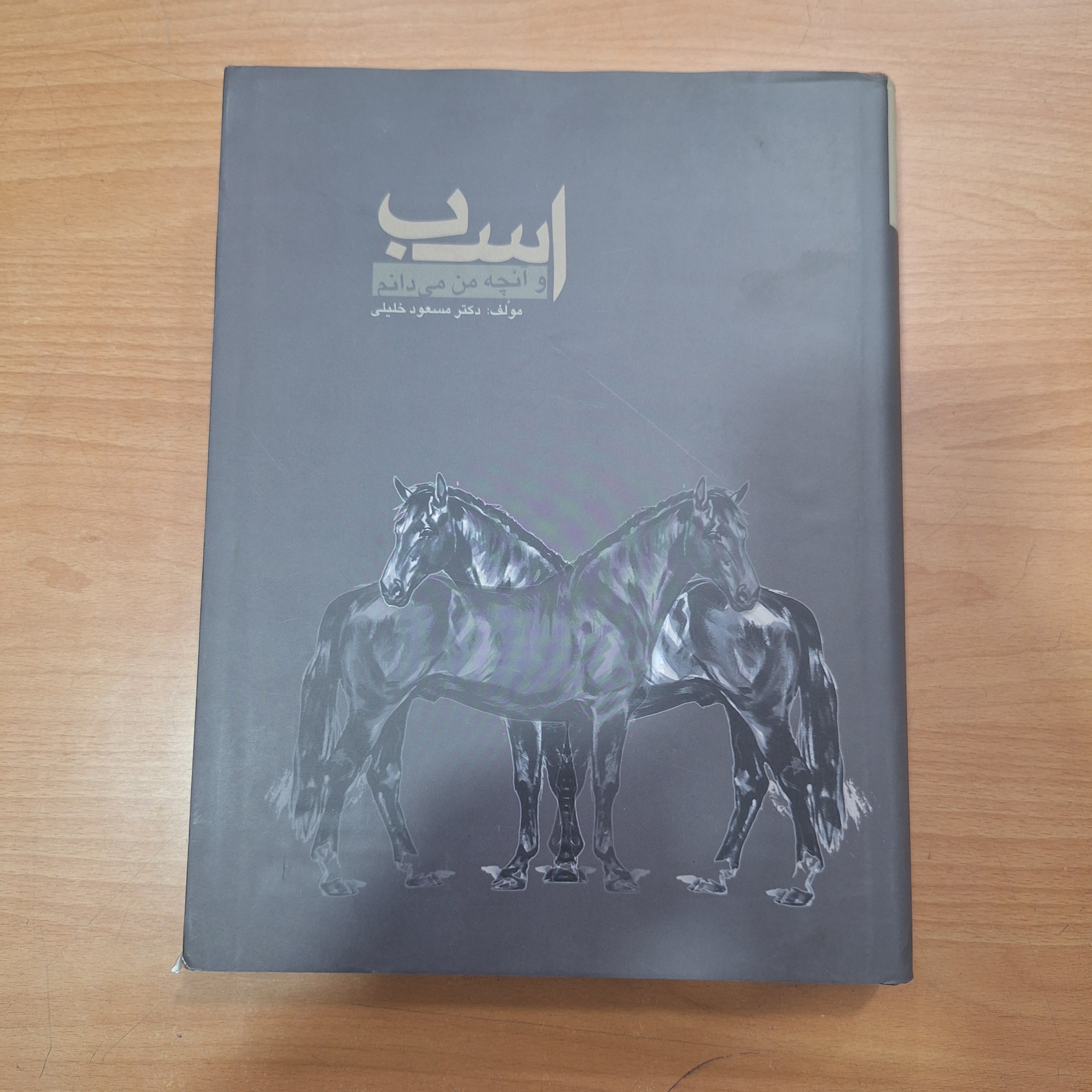 اسب و آنچه من می دانم