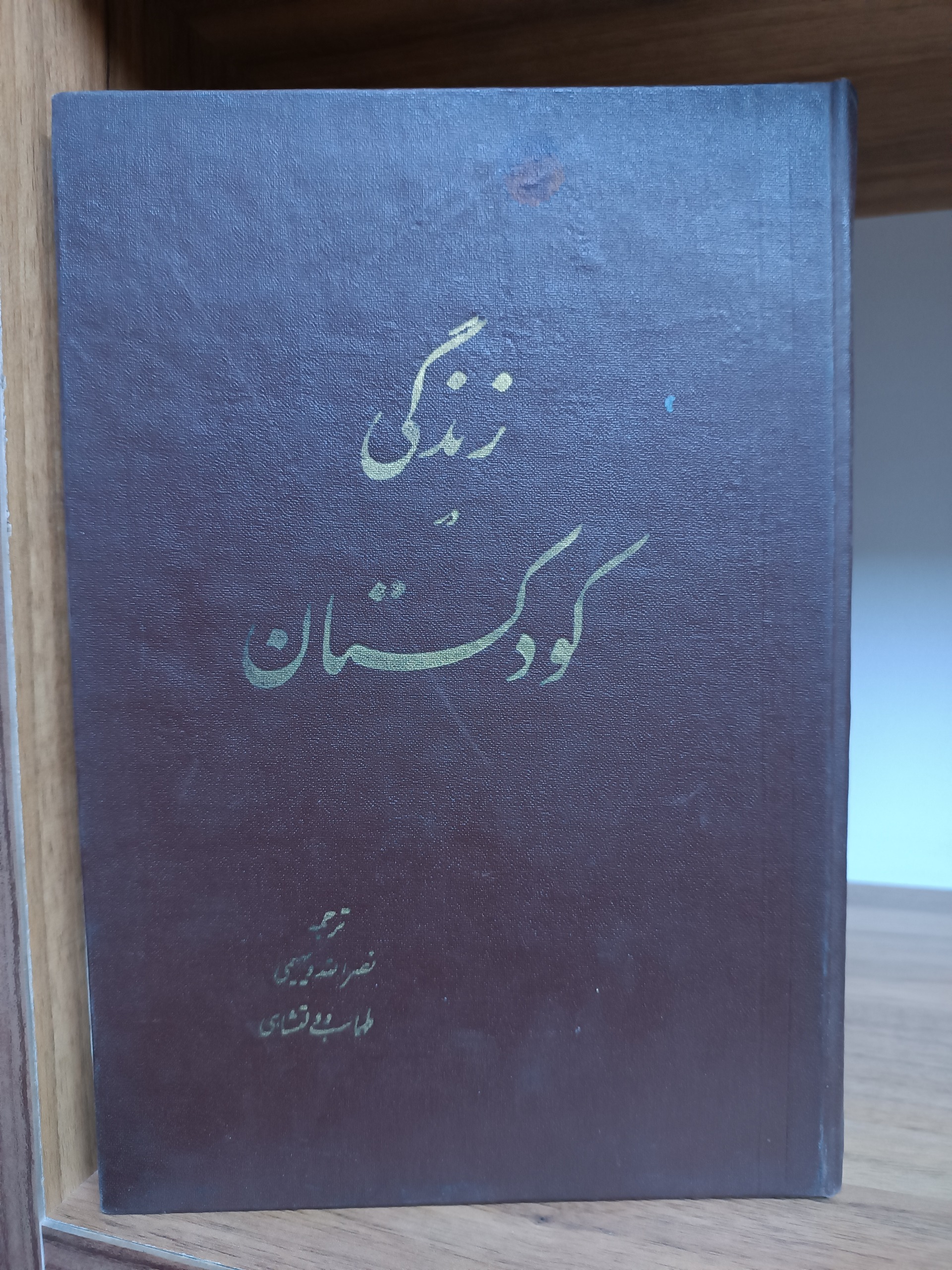 زندگی در کودکستان نصرالله دیهیمی