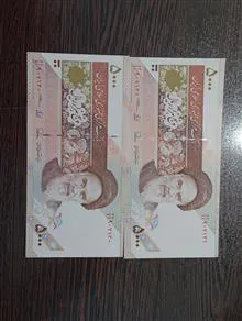 جفت