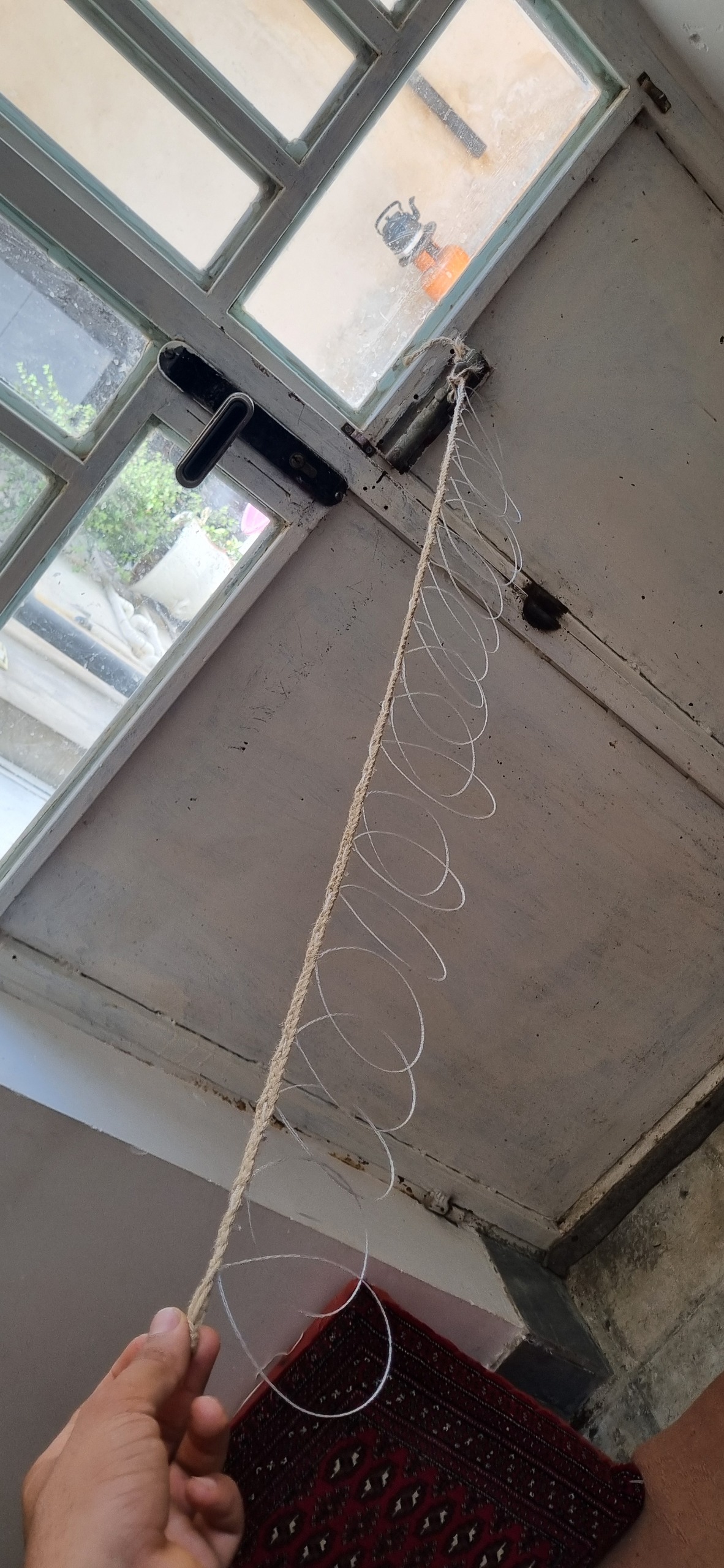 تله تهیو گردن گیر