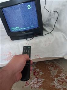 تلویزیون