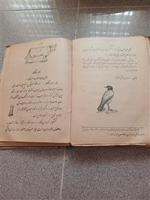 کتاب