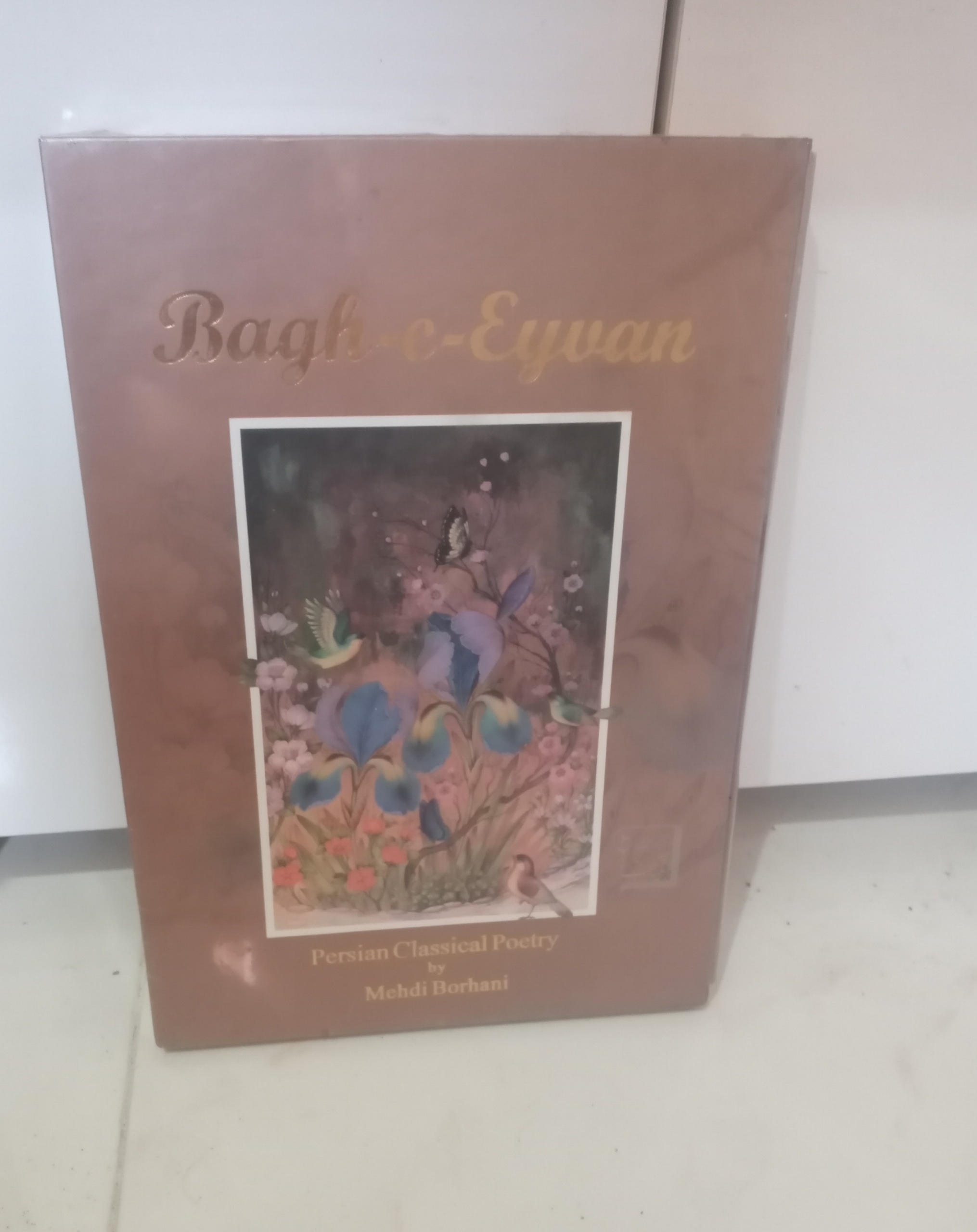 دیوان اشعار مهدی برهانی معاصر
