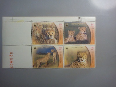 گونه های درحال انقراض 1382